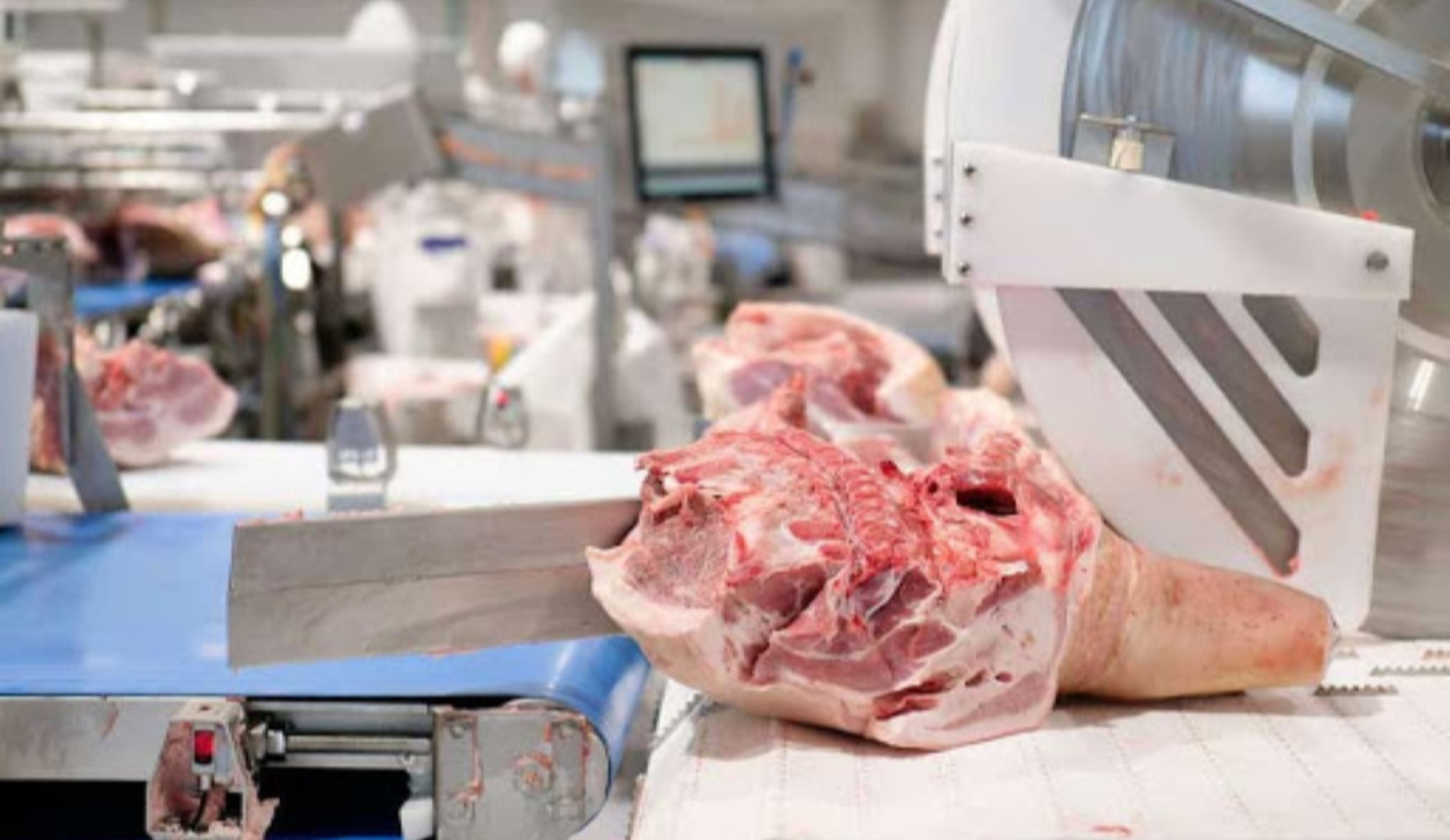 Обзор новостей и событий мясопереработки и животноводства за 14-ю неделю (1–7 апреля 2024 г.)