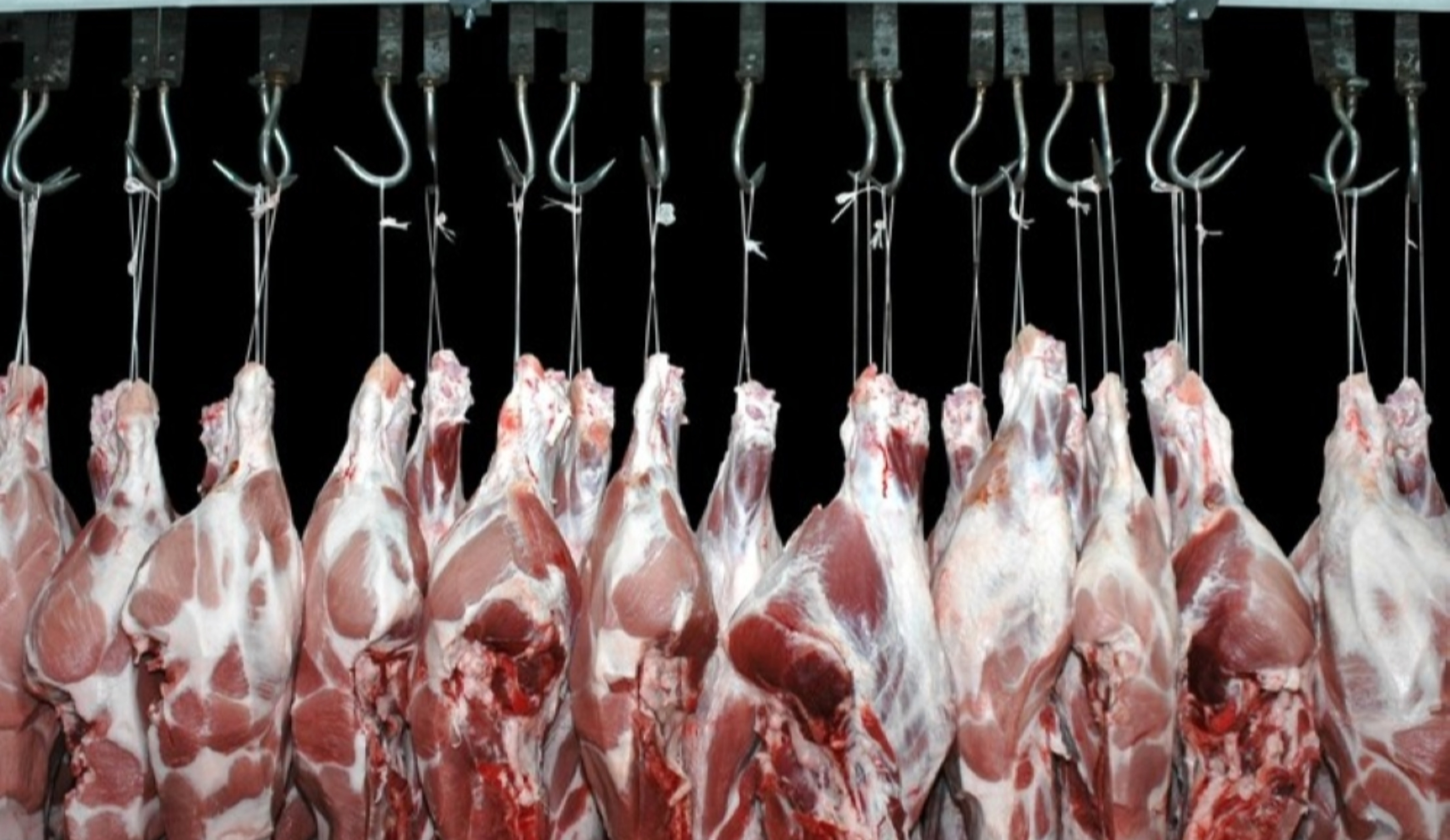 Обзор новостей и событий мясопереработки и животноводства за 18-ю неделю (29 апреля – 5 мая 2024 г.)