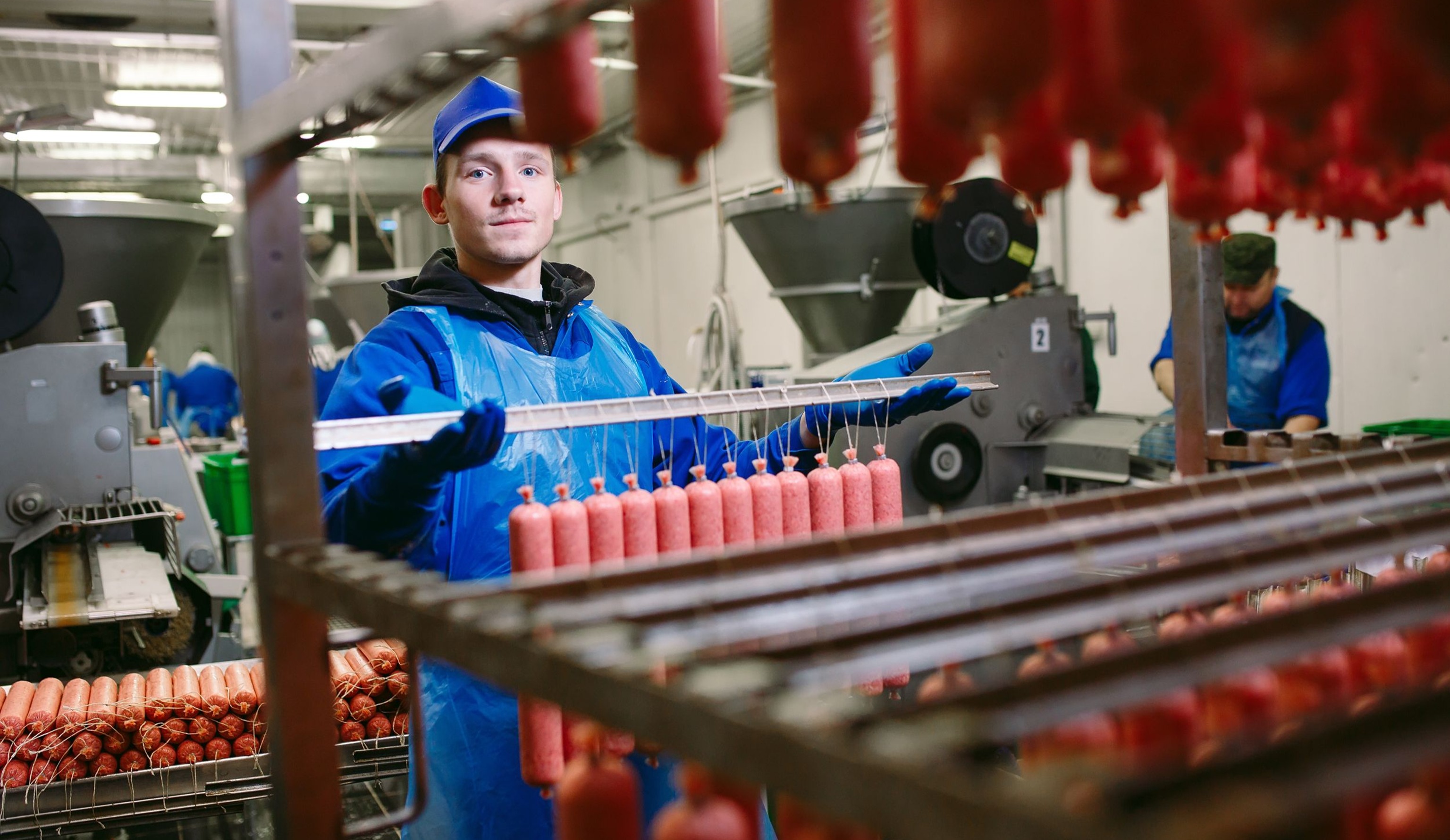 Рынок пищевых ингредиентов. Взгляд мясопереработчиков