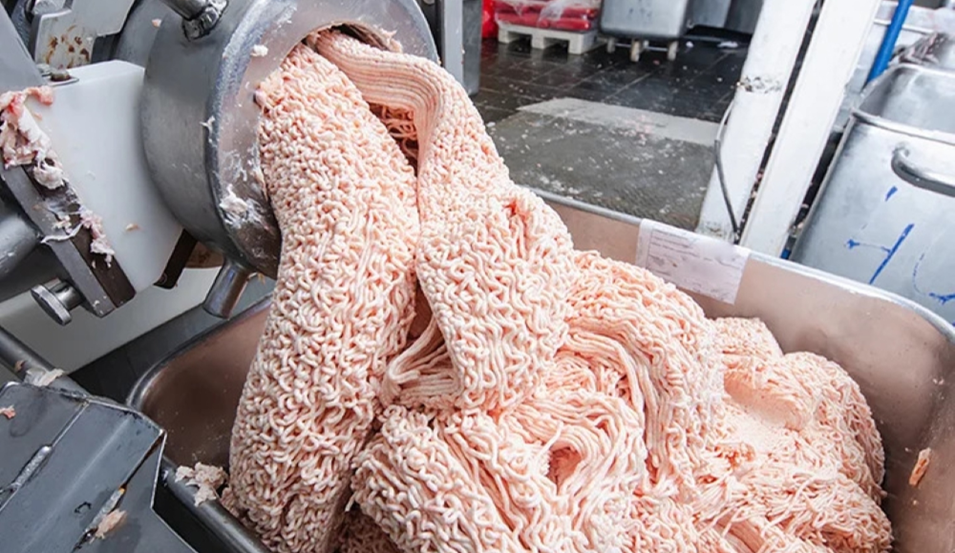 Обзор новостей и событий мясопереработки и животноводства за 23-ю неделю (10–16 июня 2024 г.)