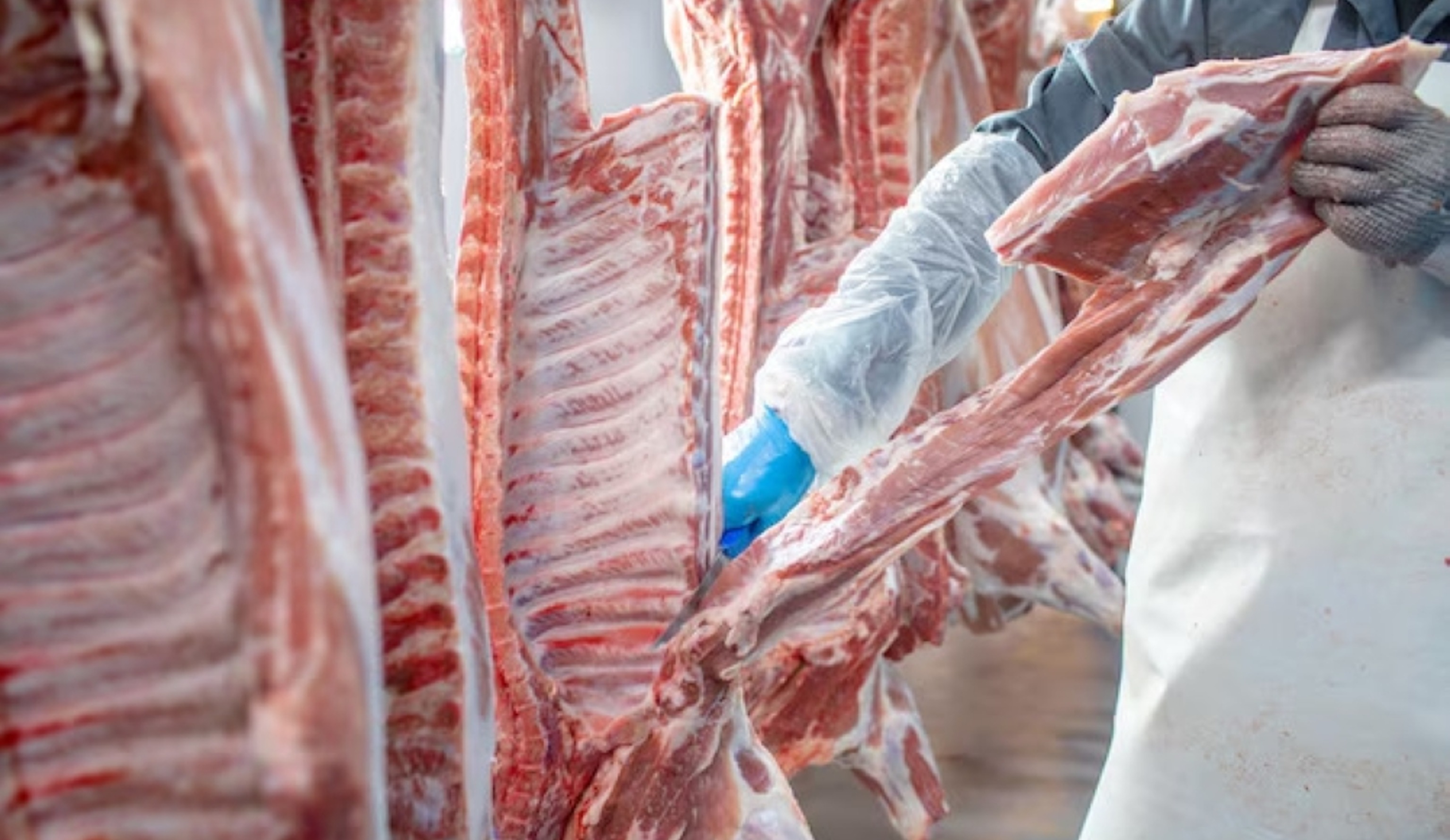 Обзор новостей и событий мясопереработки и животноводства за 31-ю неделю (29 июля – 4 августа 2024 г.)