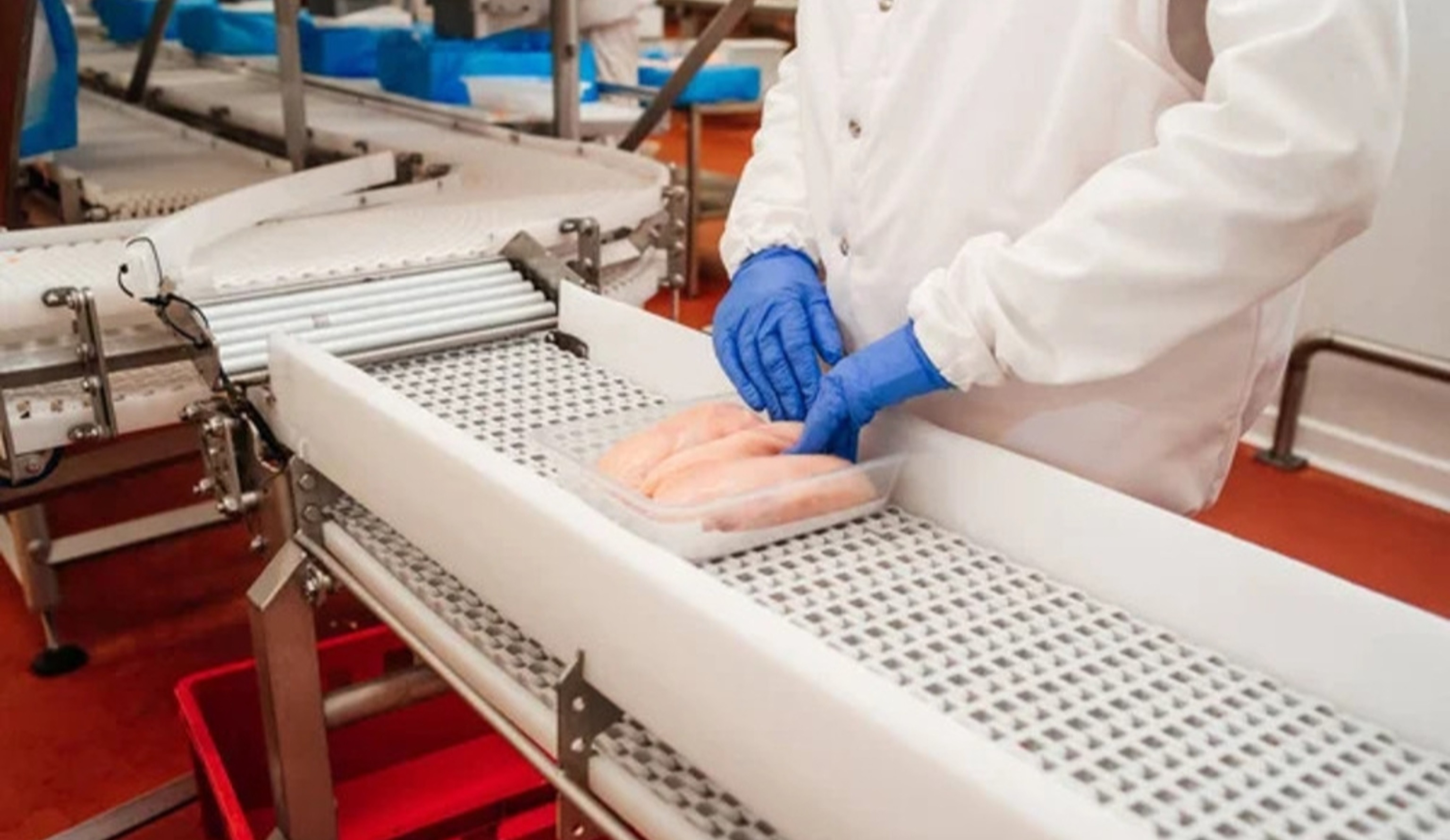 Обзор новостей и событий мясопереработки и животноводства за 33-ю неделю (12–18 августа 2024 г.)