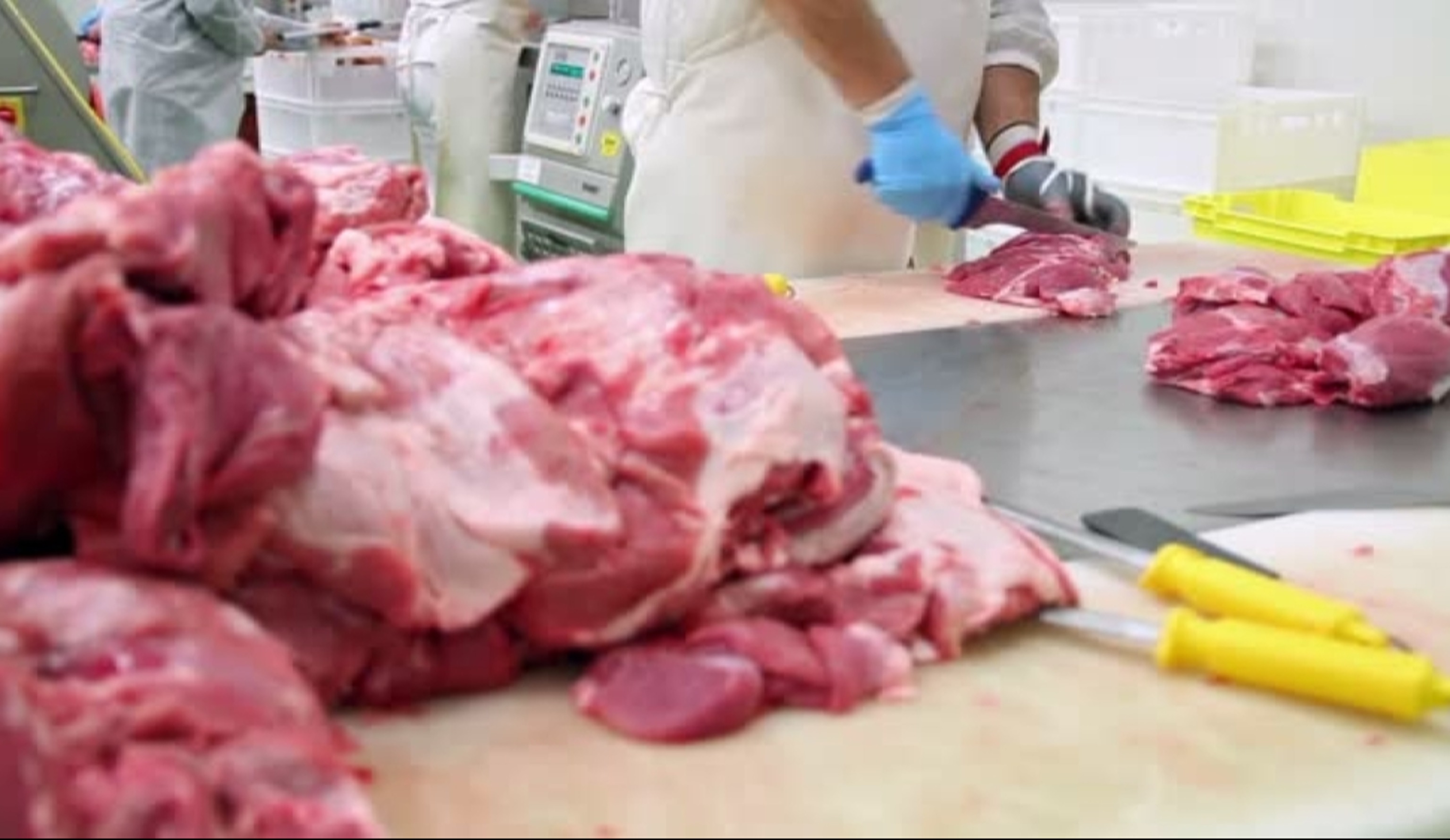 Обзор новостей и событий мясопереработки и животноводства за 36-ю неделю (2–8 сентября 2024 г.)