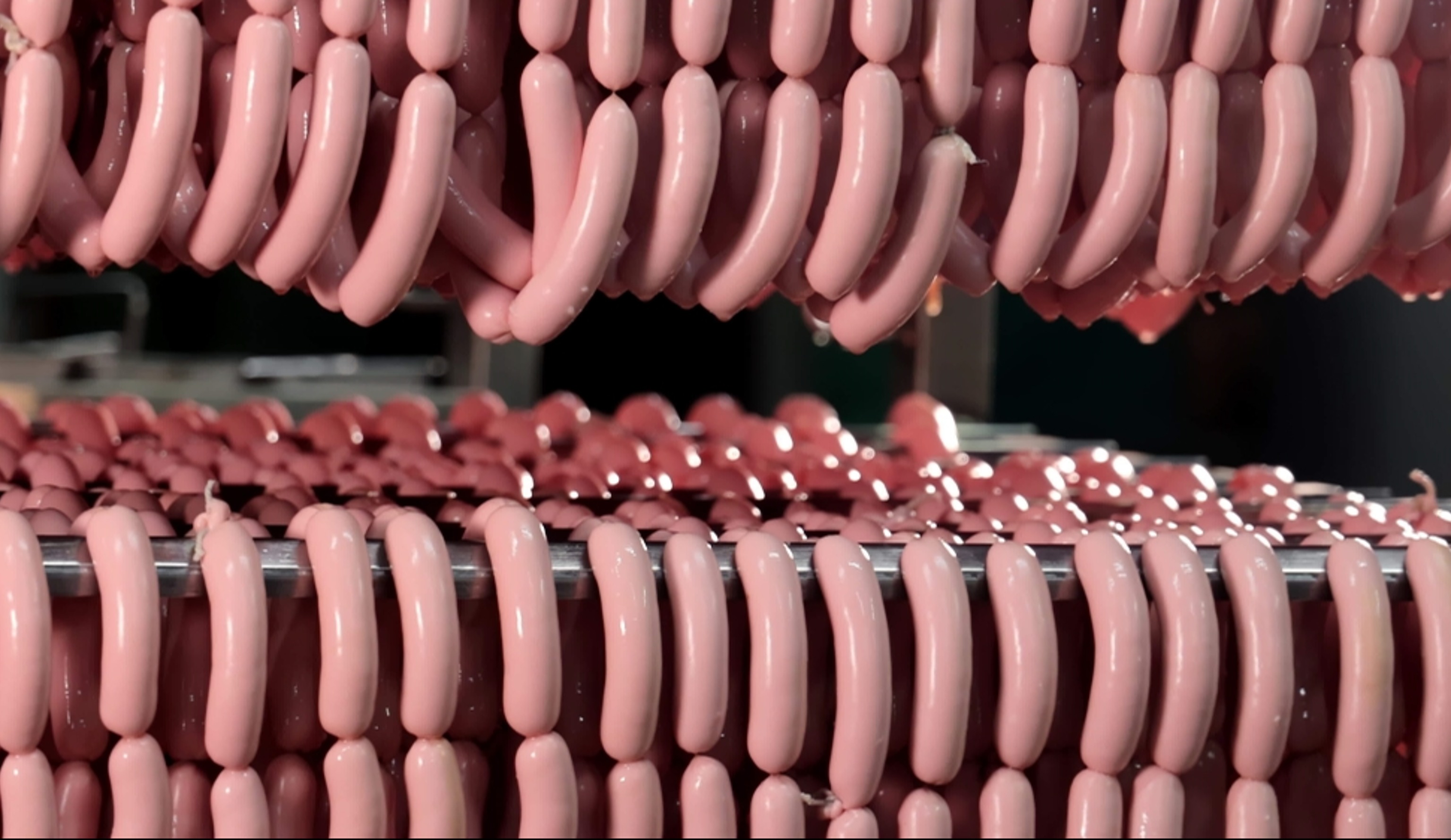 Обзор новостей и событий мясопереработки и животноводства за 39-ю неделю (23–29 сентября 2024 г.)