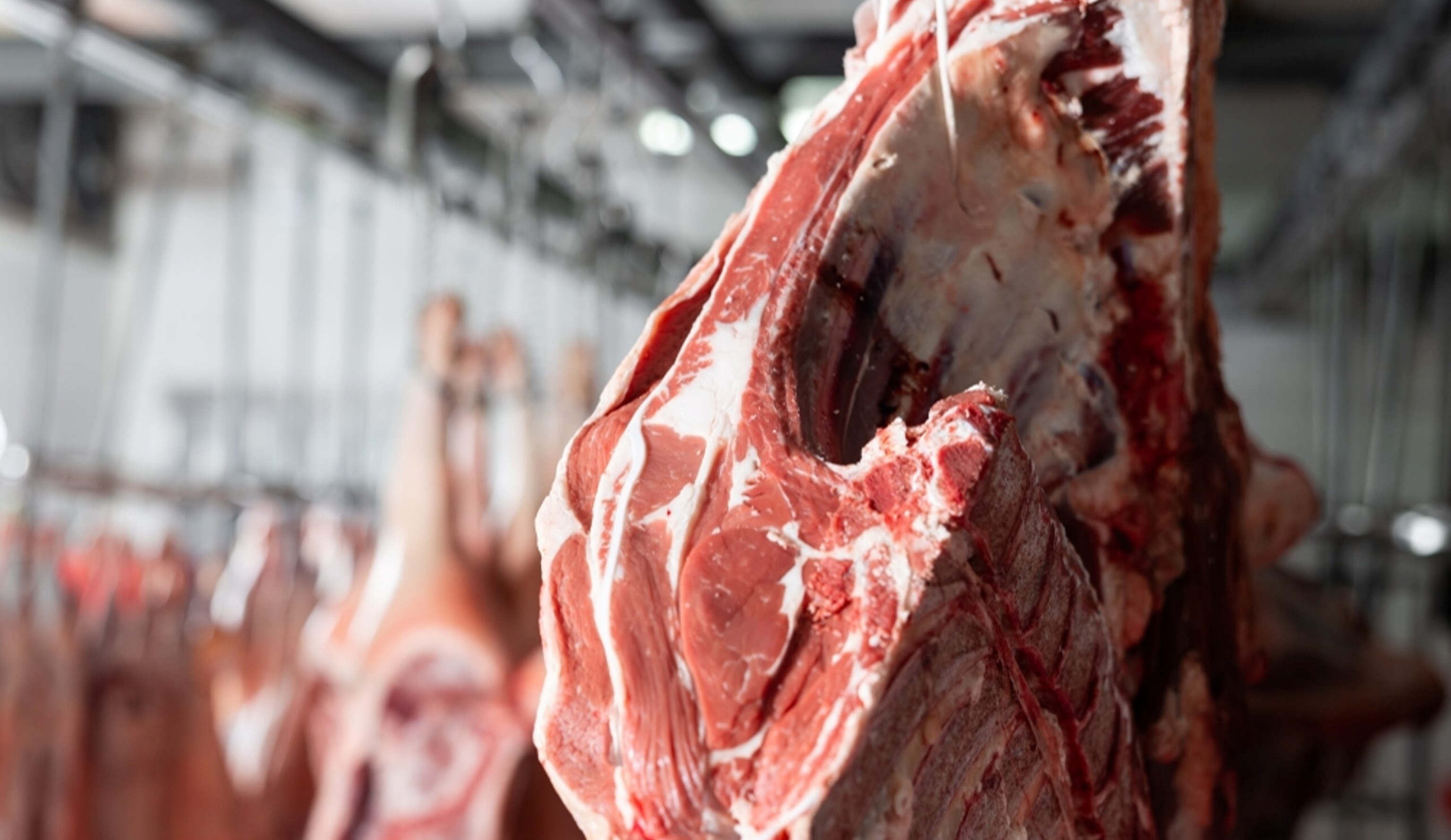 Обзор новостей и событий мясопереработки и животноводства за 44-ю неделю (28 октября – 3 ноября 2024 г.)