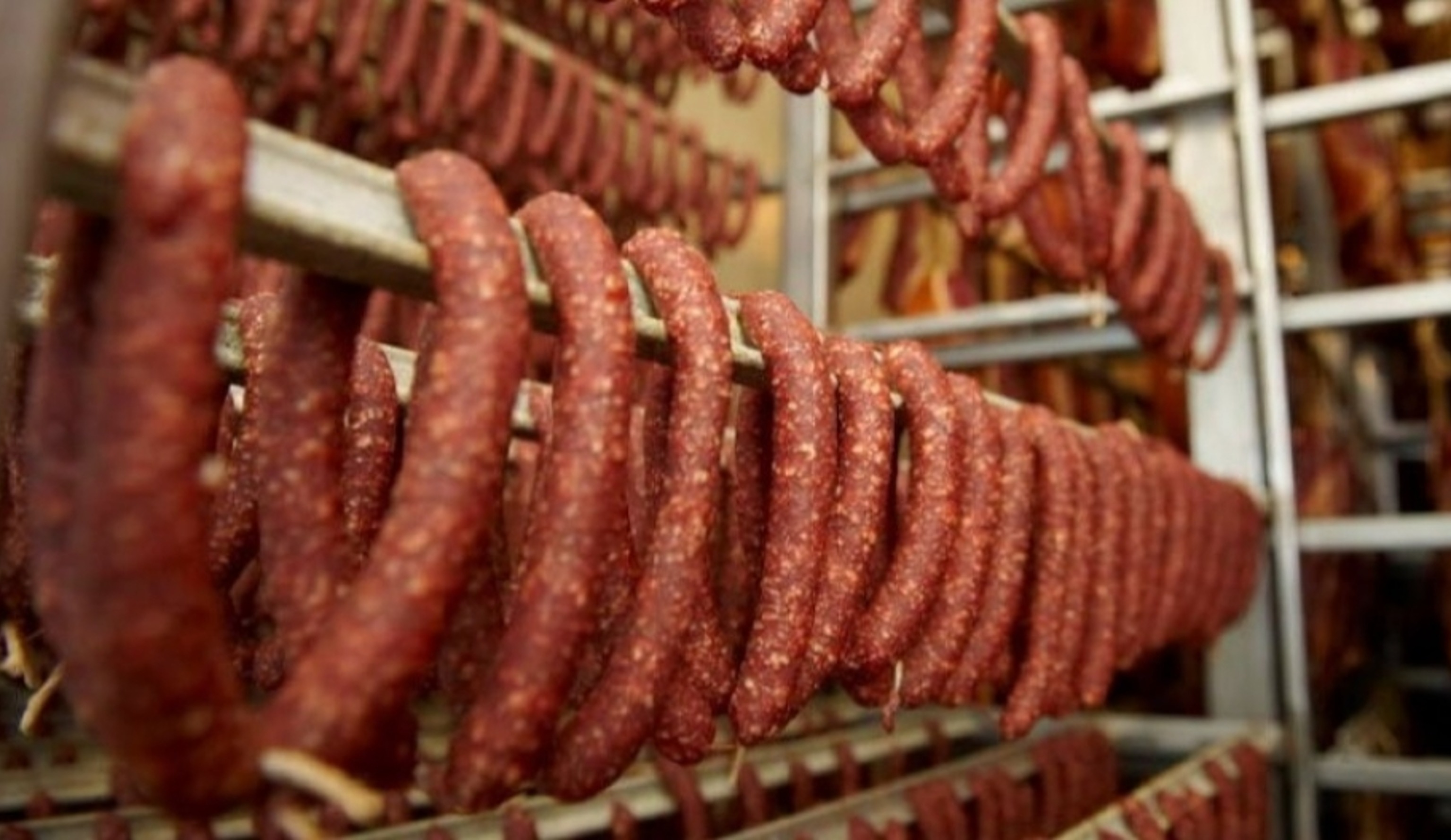 Обзор новостей и событий мясопереработки и животноводства за 46-ю неделю (11–17 ноября 2024 г.)