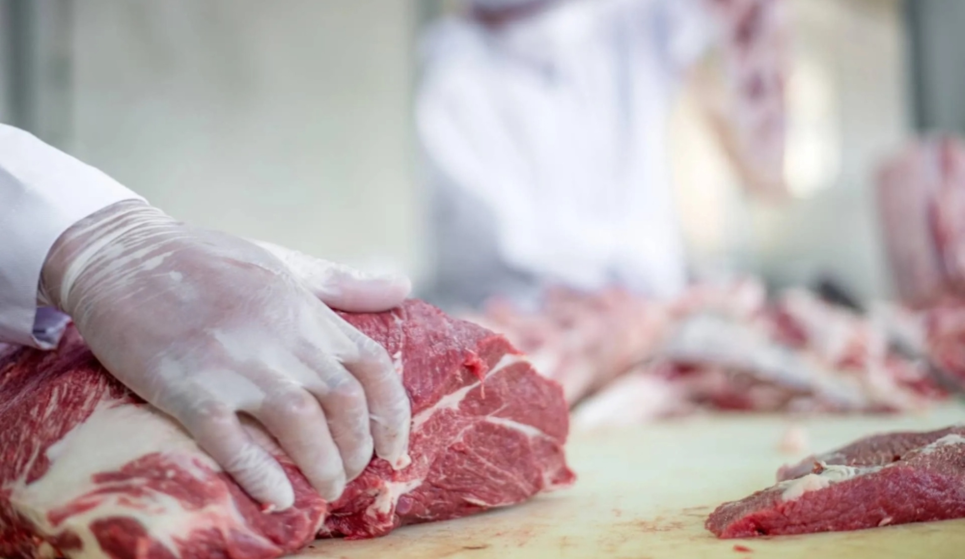 Обзор новостей и событий мясопереработки и животноводства за 47-ю неделю (18–24 ноября 2024 г.)