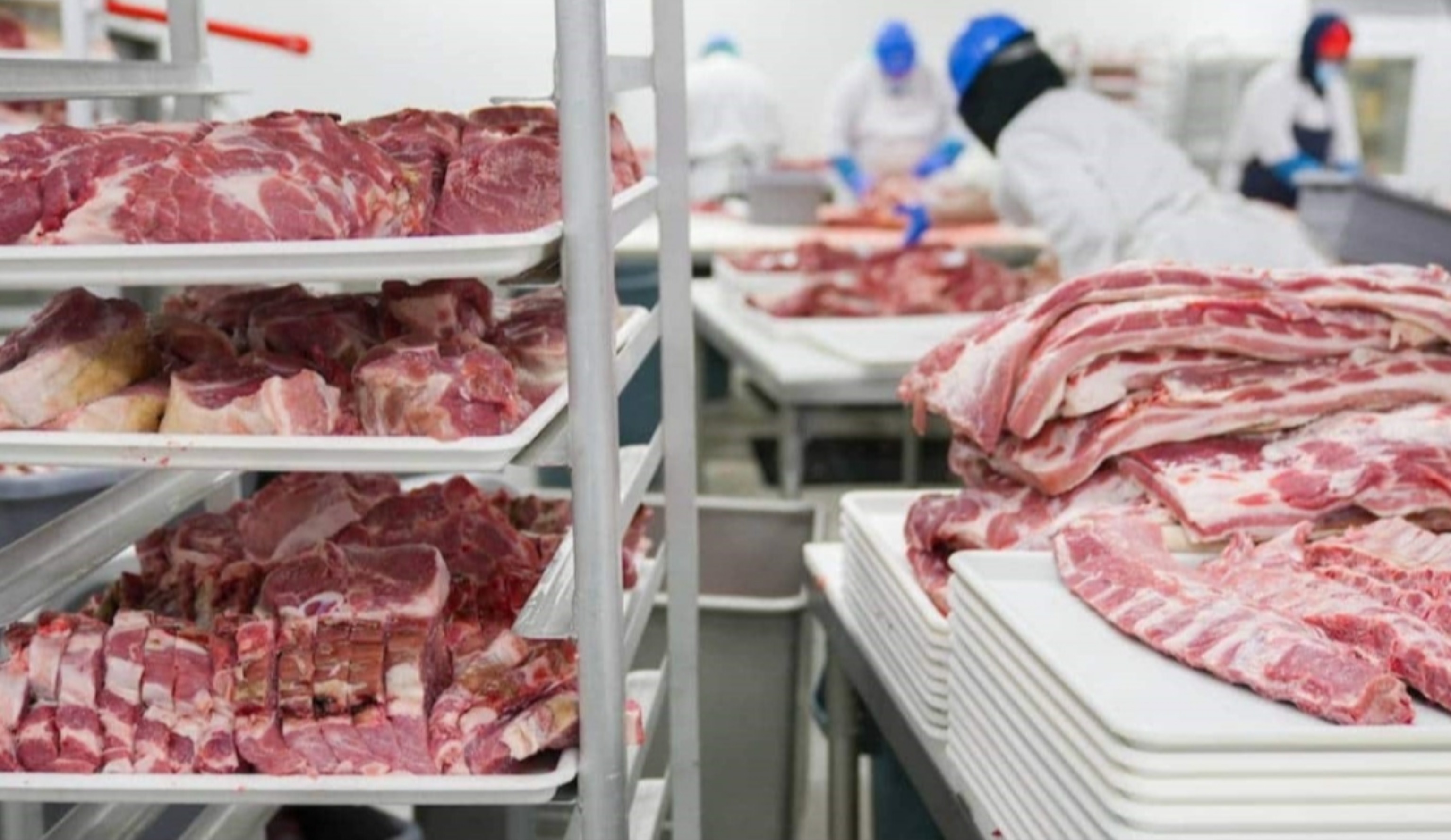 Обзор новостей и событий мясопереработки и животноводства за 48-ю неделю (25 ноября – 1 декабря 2024 г.)