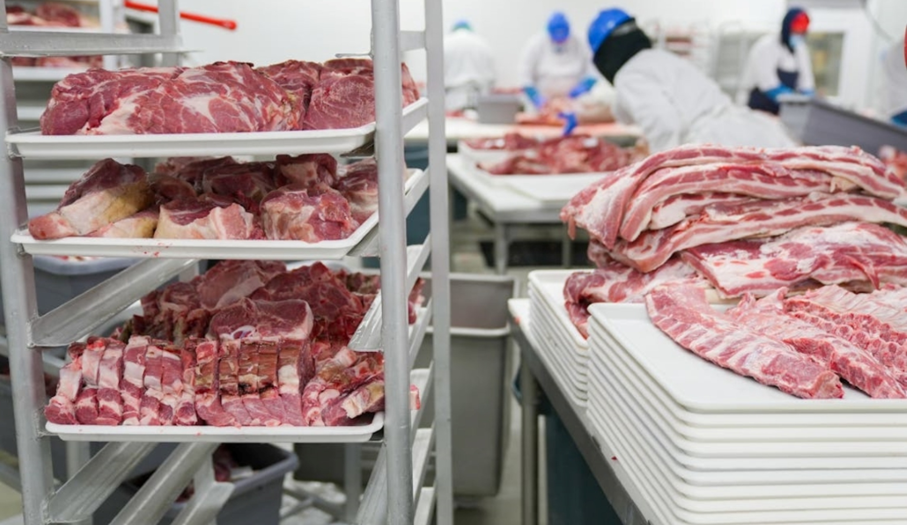 Обзор новостей и событий мясопереработки и животноводства за 4-ю неделю (20–26 января 2025 г.)