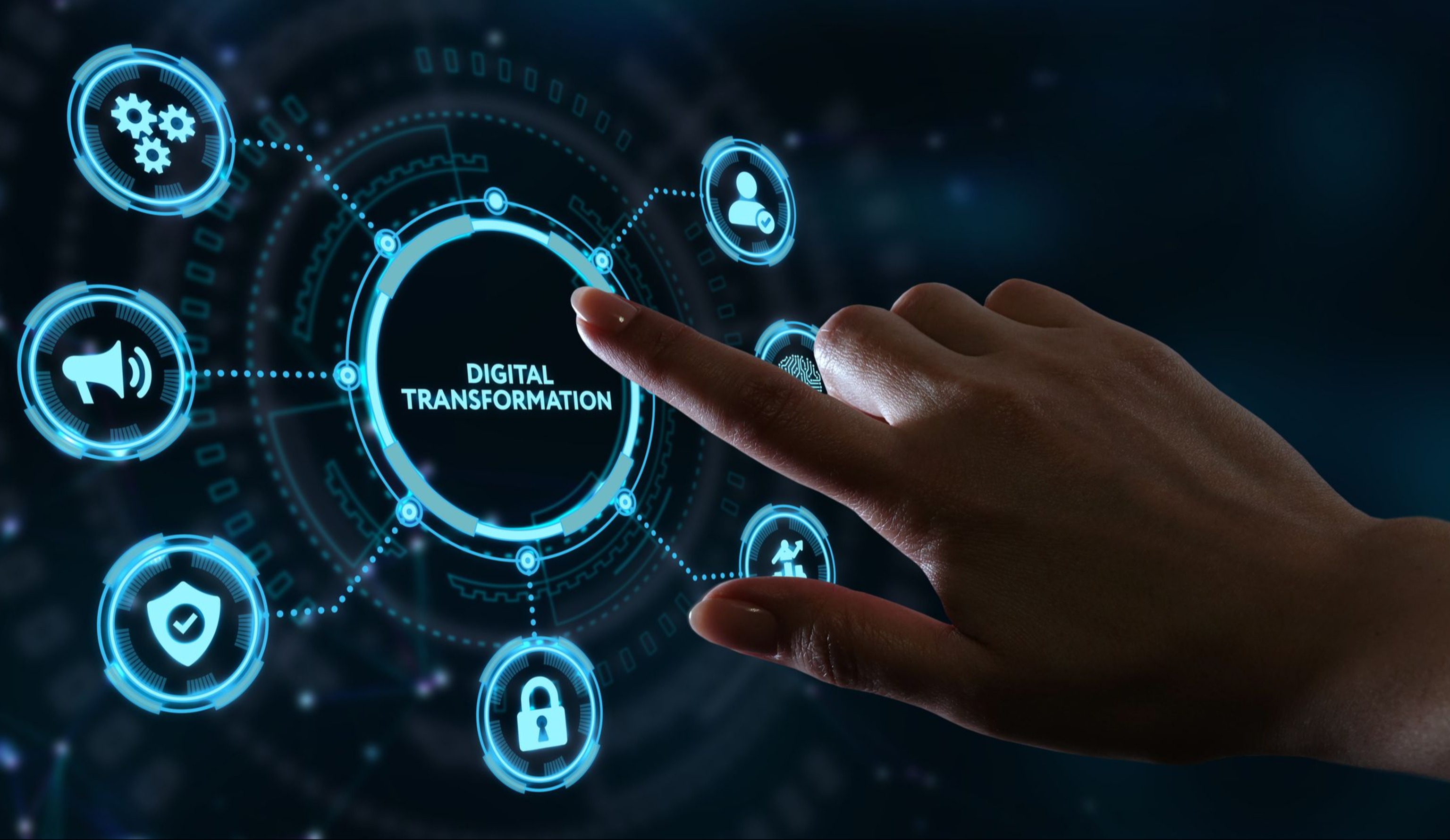 Цифровая трансформация в мясопереработке: как превратить вызовы в новые возможности