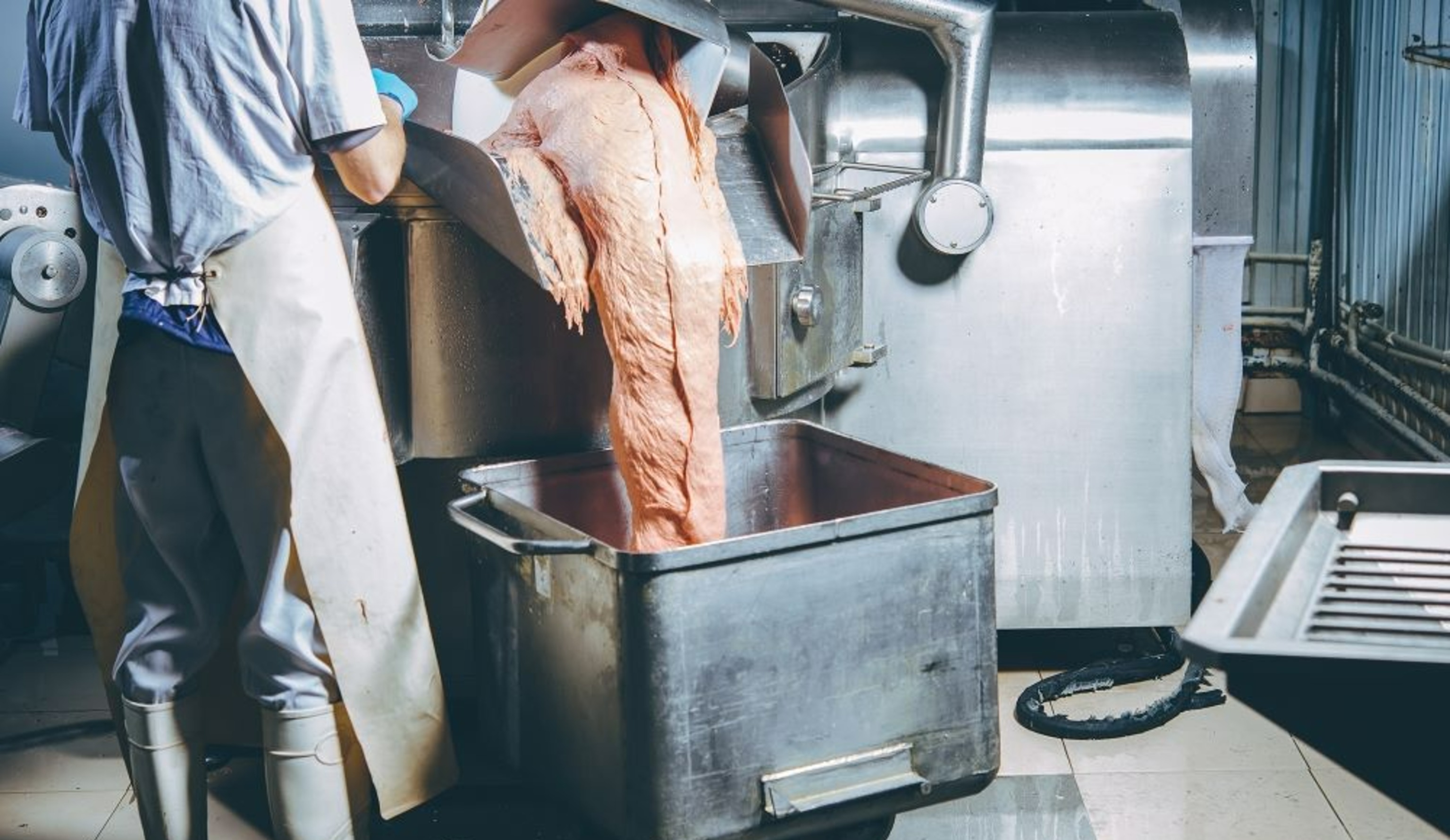 Обзор новостей и событий мясопереработки и животноводства за 38-ю неделю (15–21 сентября 2025 г.)