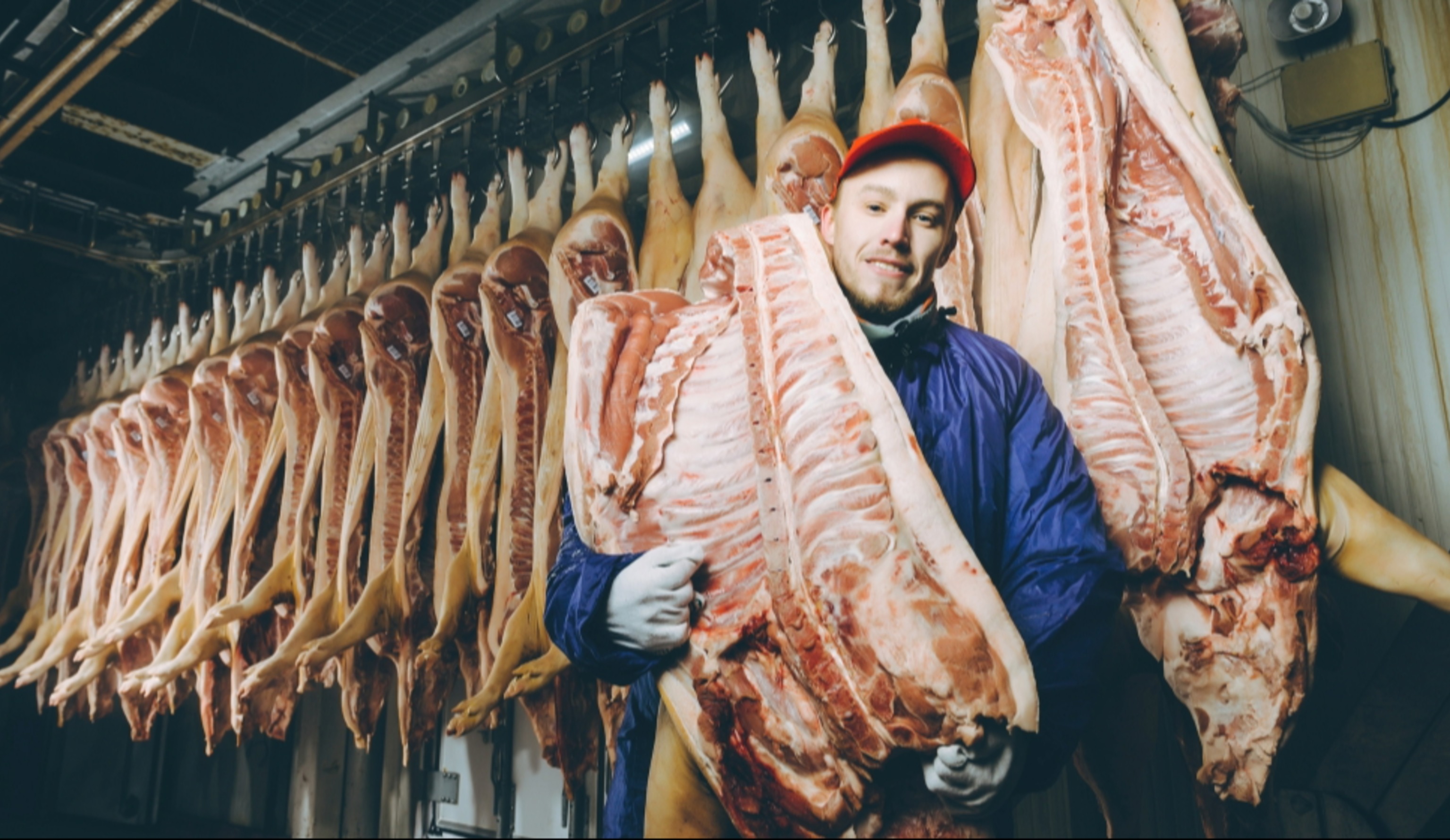 Обзор новостей и событий мясопереработки и животноводства за 41-ю неделю (6–12 октября 2025 г.)