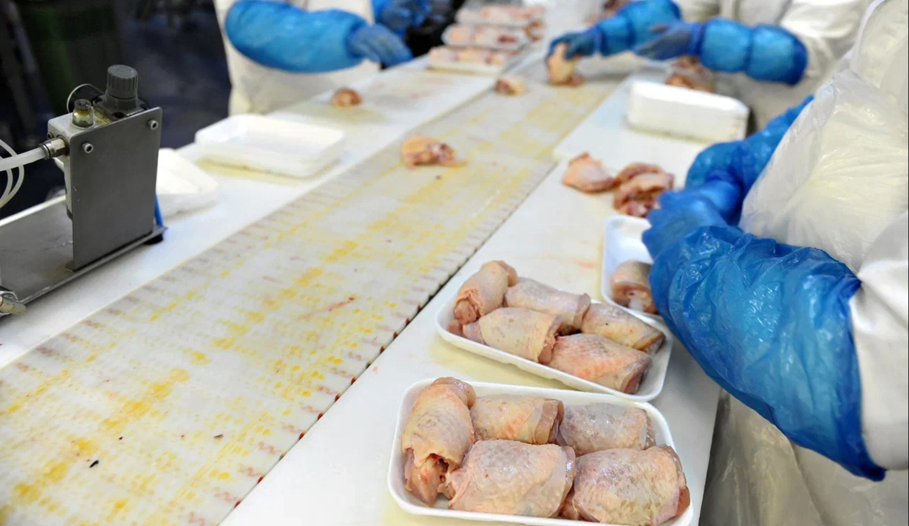 Обзор новостей и событий мясопереработки и животноводства за 43-ю неделю (20–26 октября 2025 г.)