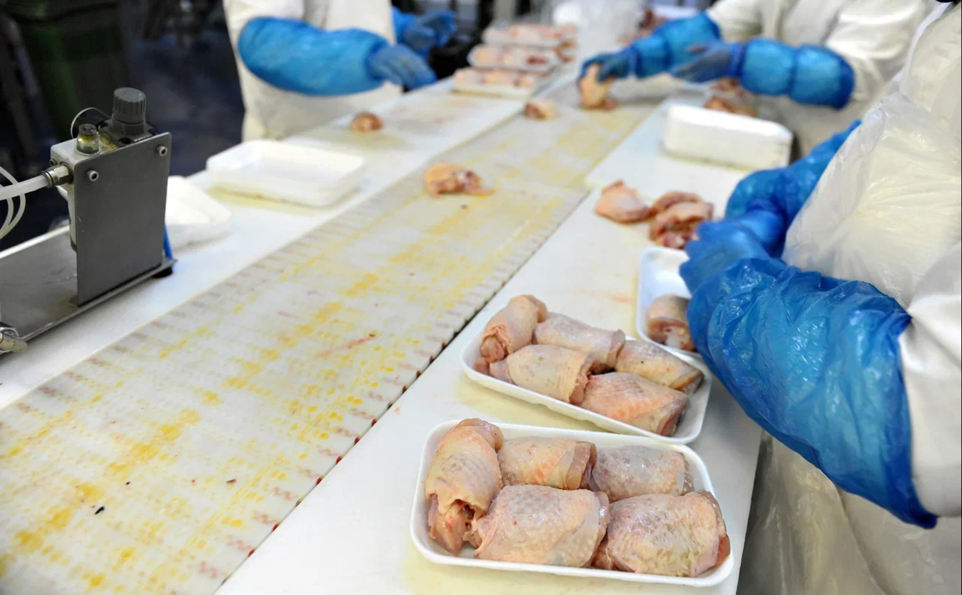 Обзор новостей и событий мясопереработки и животноводства за 43-ю неделю (20–26 октября 2025 г.)