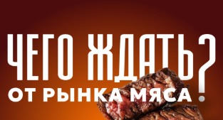 ПИЩЁВКА3D: QAZAQ 2025