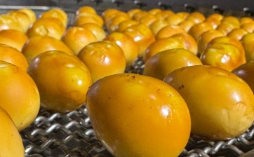 Копчение перепелиных яиц