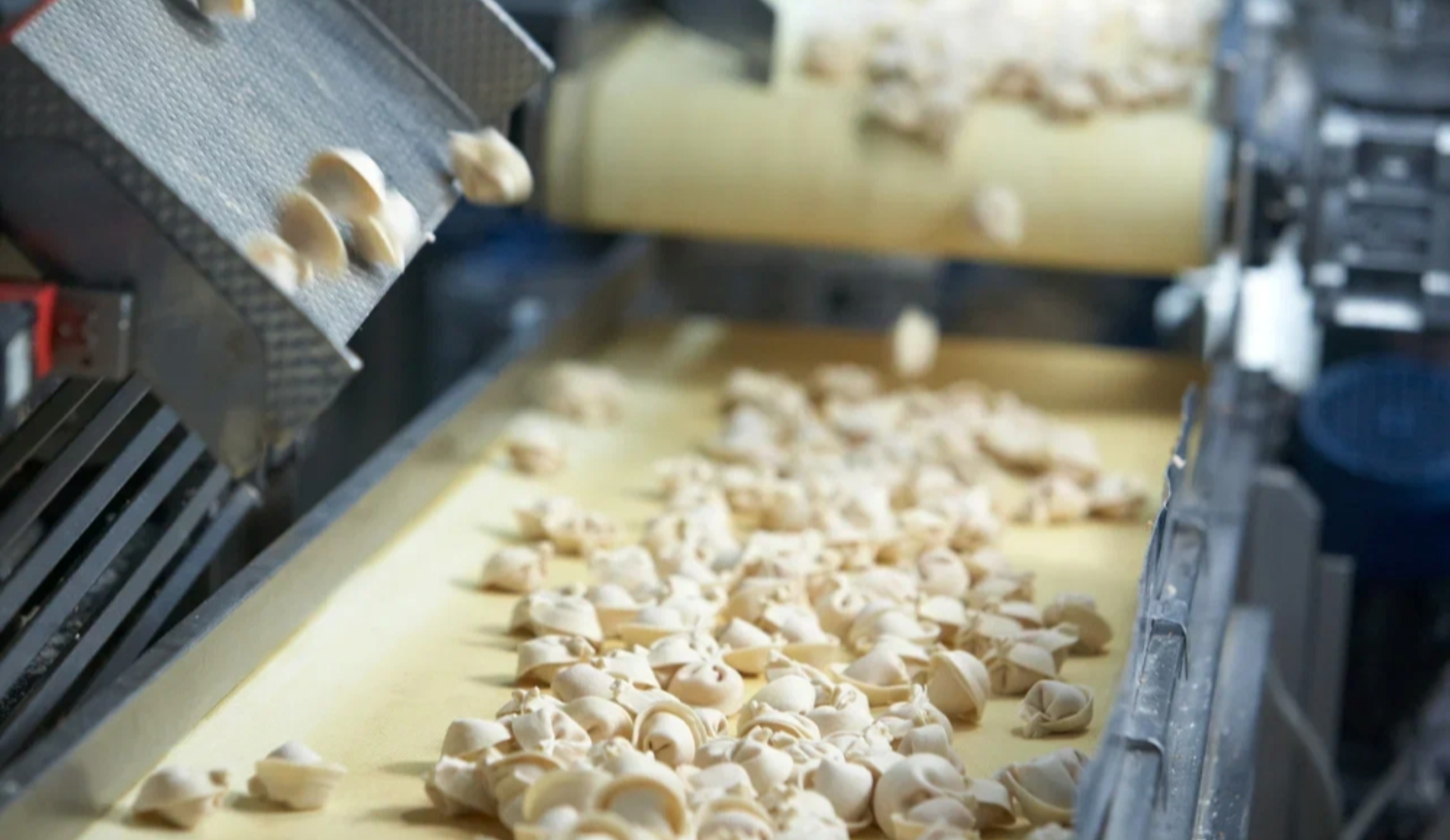 Обзор новостей и событий мясопереработки и животноводства за 48-ю неделю (24–30 ноября 2025 г.)