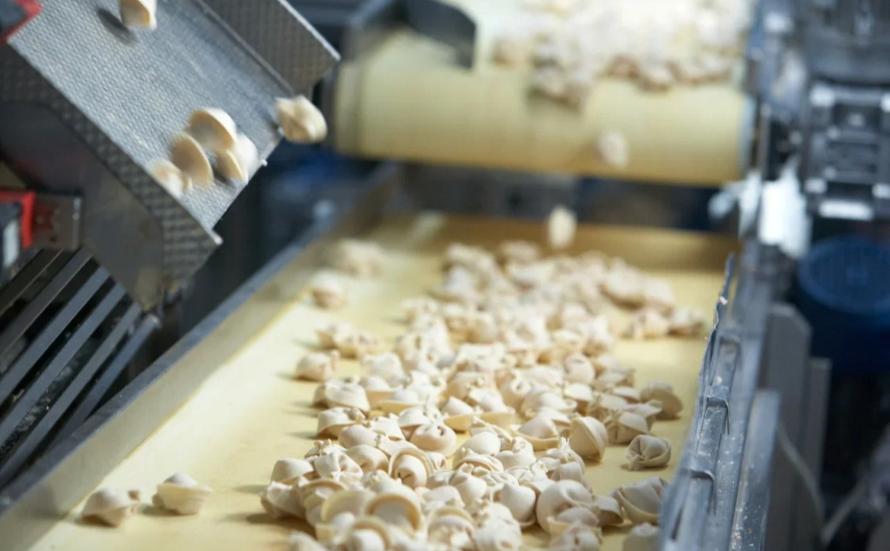 Обзор новостей и событий мясопереработки и животноводства за 48-ю неделю (24–30 ноября 2025 г.)