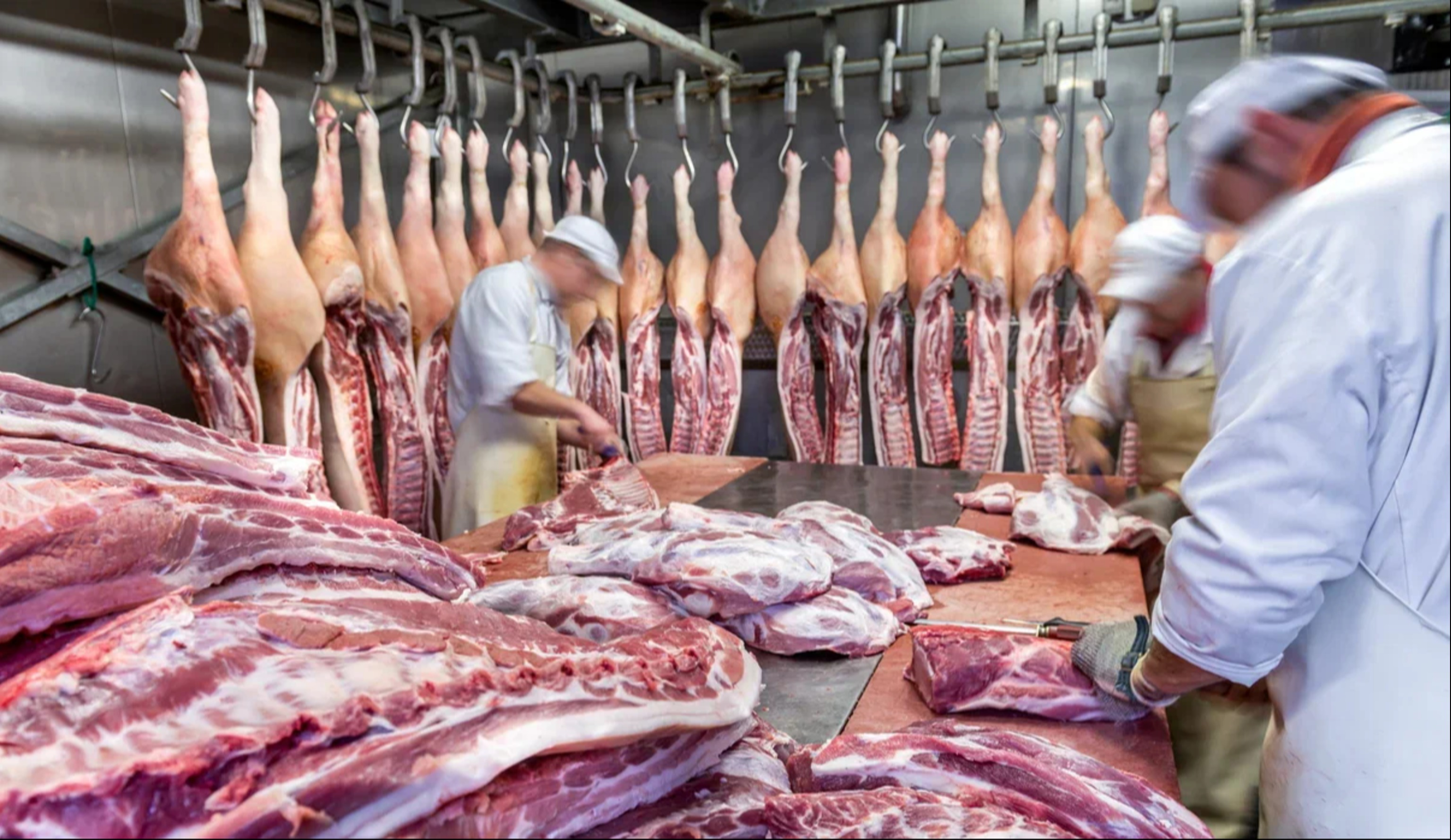 Обзор новостей и событий мясопереработки и животноводства за 49-ю неделю (1–7 декабря 2025 г.)