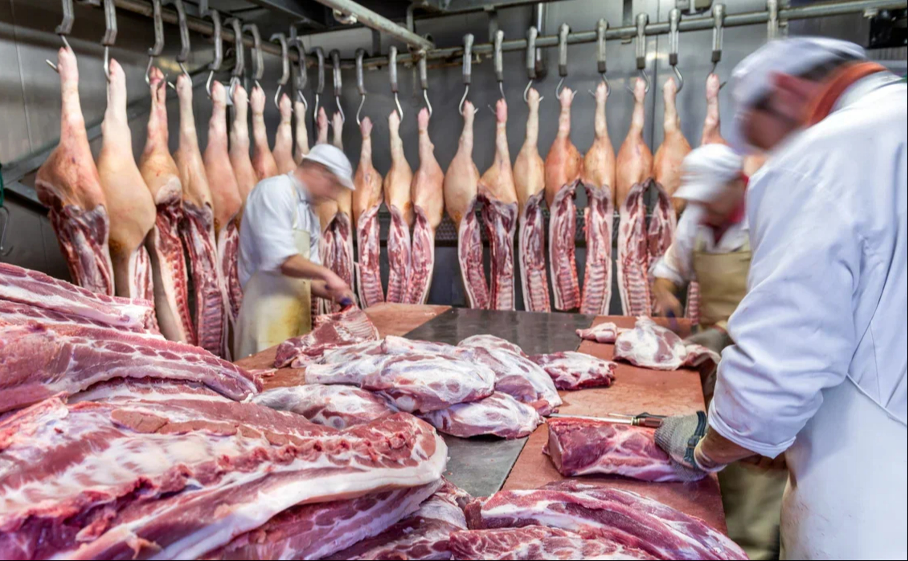 Обзор новостей и событий мясопереработки и животноводства за 49-ю неделю (1–7 декабря 2025 г.)