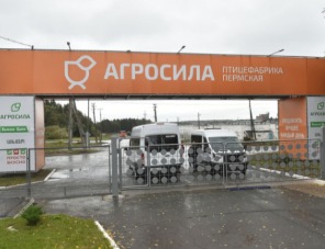 Пермская птицефабрика холдинга АГРОСИЛА подвела итоги 2025 года