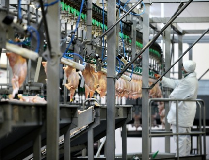 Обзор новостей и событий мясопереработки и животноводства за 3-ю неделю (12–18 января 2026 г.)