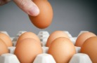 Росстат: на прошлой неделе куриные яйца подорожали на 3,4%