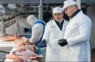 «Сибагро» будет поставлять свинину и свиные субпродукты в КНДР