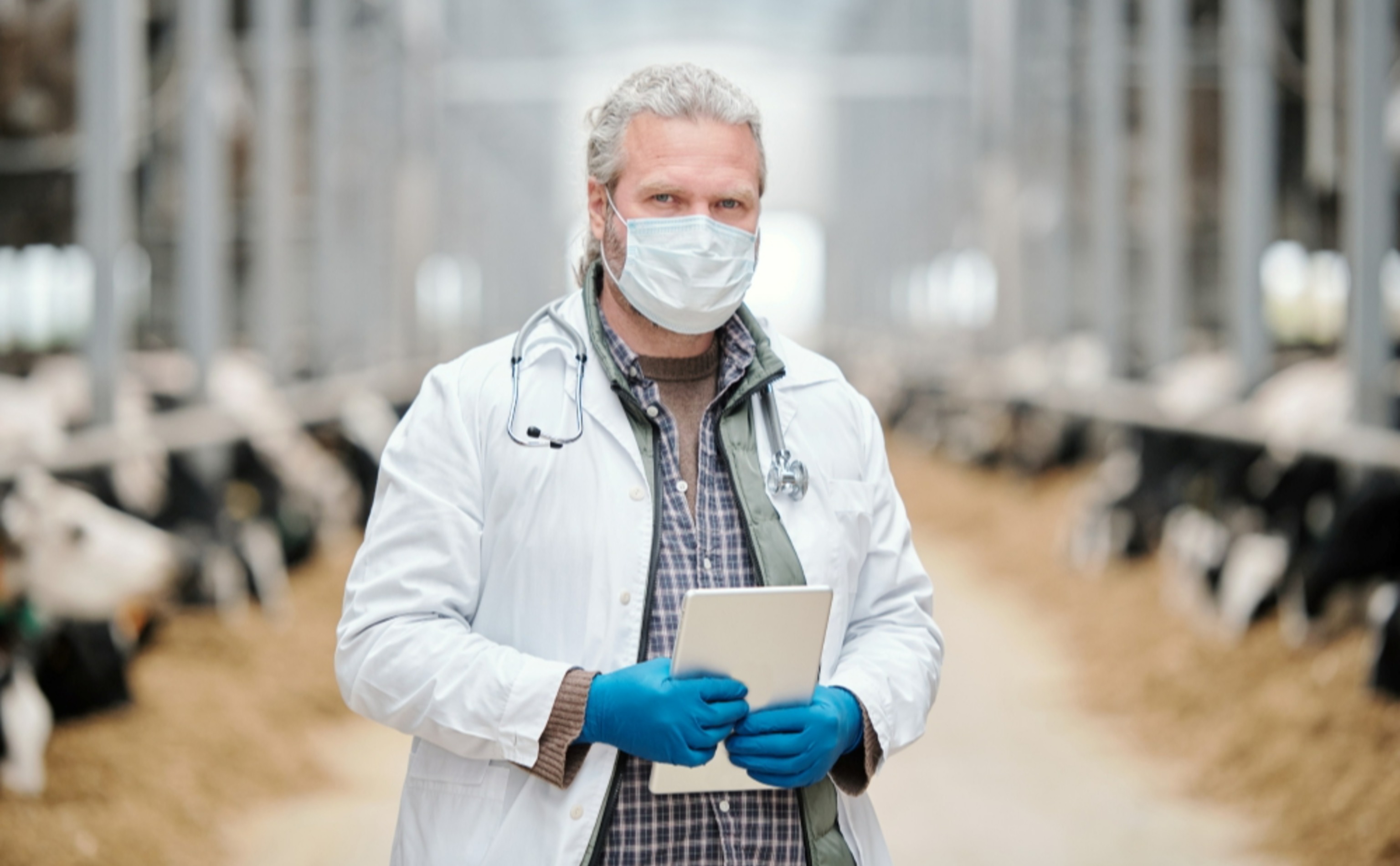 Обзор новостей и событий мясопереработки и животноводства за 11-ю неделю (9–15 марта 2026 г.)