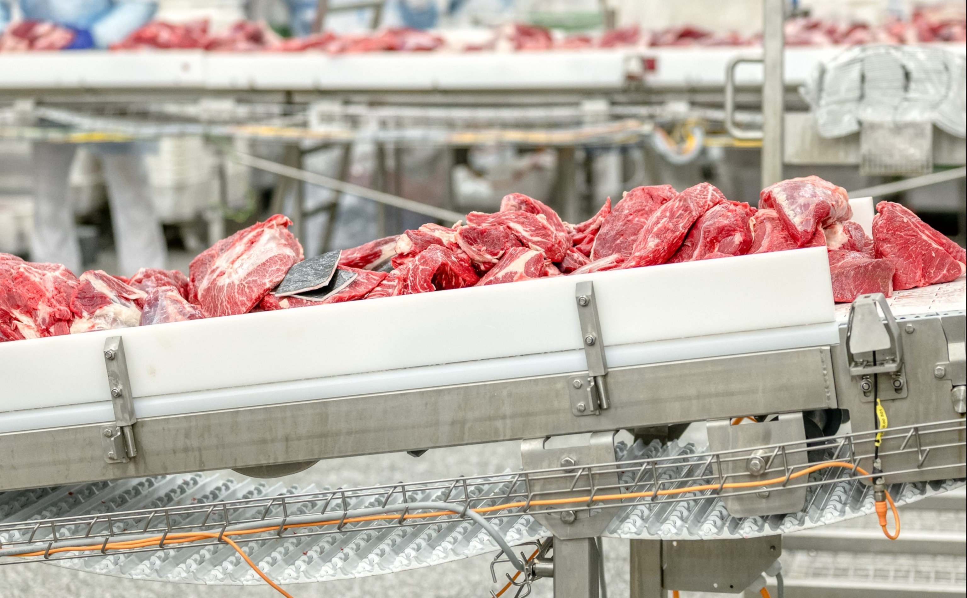 Обзор новостей и событий мясопереработки и животноводства за 13-ю неделю (23–29 марта 2026 г.)