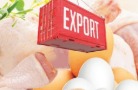 Россия увеличила экспорт куриного мяса и субпродуктов на 14%