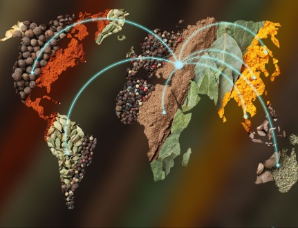 Обзор мировой ситуации со специями