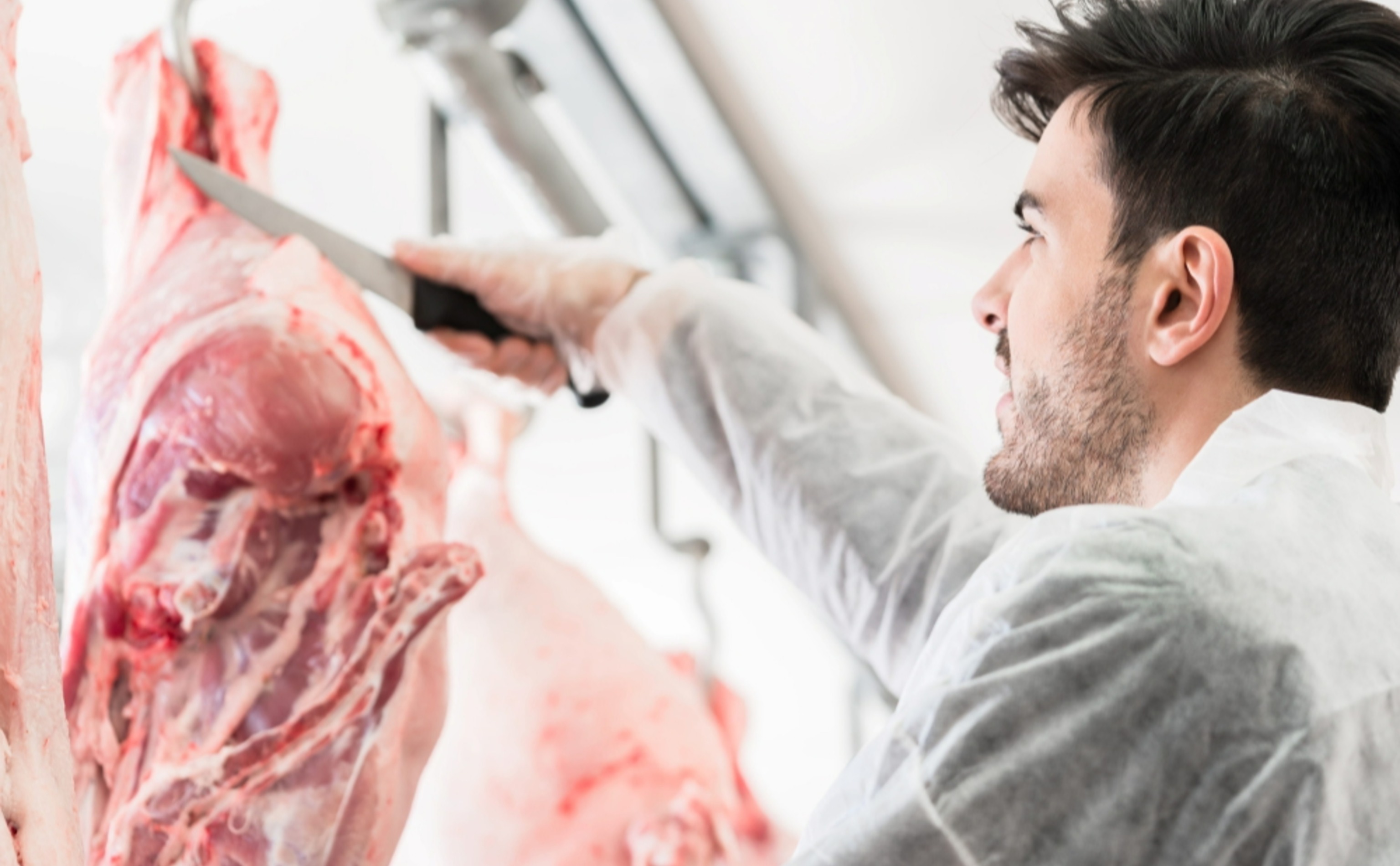 Обзор новостей и событий мясопереработки и животноводства за 15-ю неделю (6–12 апреля 2026 г.)