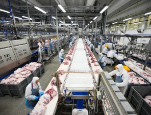 В 2025 году группа АГРОЭКО увеличила экспорт свинины почти на 7%