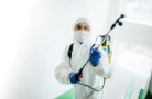В граничащем с Россией регионе Монголии введен карантин по ящуру