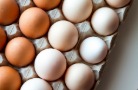 В январе–апреле потребительская цена куриных яиц выросла на 21%