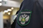 В Подмосковье задержаны 10,3 тонны рыбного и говяжьего коллагена
