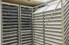 Вологодская область отправила две партии инкубационных яиц в Кувейт