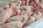 Алтайский край отправил в Китай около 2000 тонн продукции птицеводства