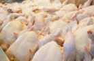 Башкортостан увеличил экспорт мяса птицы почти в шесть раз