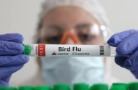 Межвидовая передача вируса А(H5N1) зафиксирована в 31 стране