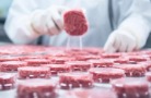 На голландской ферме начинают культивировать мясо в биореакторах