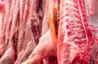 В 2026 году Россия увеличит экспорт продукции свиноводства на 5–6%