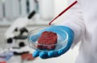 Израильские ученые снижают стоимость культивируемых стейков