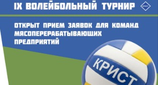IX турнир по пляжному волейболу