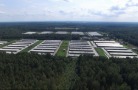 При налете беспилотников обрушились конструкции корпуса птицефабрики «Северная»