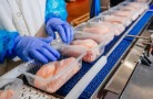 Производство охлажденного мяса птицы в Подмосковье увеличилось на 4%