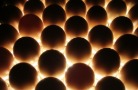 Россельхознадзор отменил запрет на ввоз яиц для 10 предприятий США