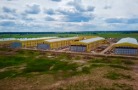 «Русское поле» расширяет активы яичного направления птицеводства