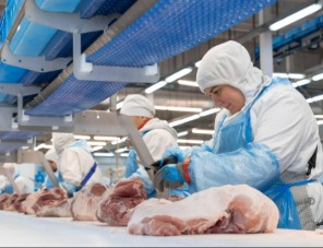 «Сибагро» внедряет экзоскелеты на мясокомбинате в Белгородской области